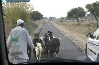 02 PKW-Reise_Delhi-Mandawa_DSC2506_b_H600